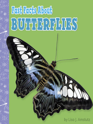 cover image of Fast Facts About Butterflies